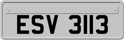 ESV3113