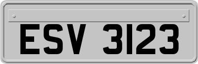 ESV3123