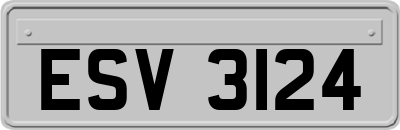 ESV3124