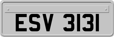 ESV3131
