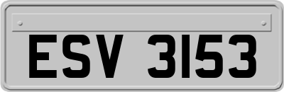 ESV3153