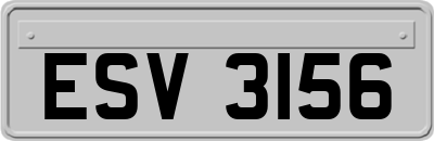 ESV3156