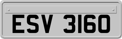 ESV3160