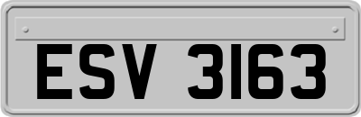ESV3163