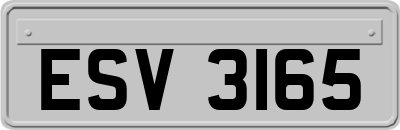 ESV3165