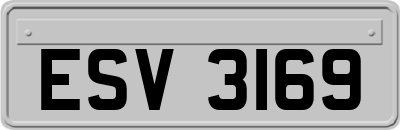 ESV3169