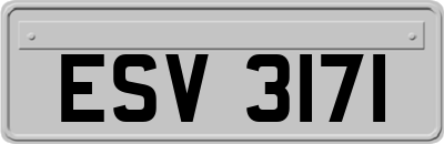 ESV3171