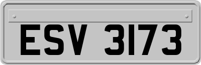 ESV3173