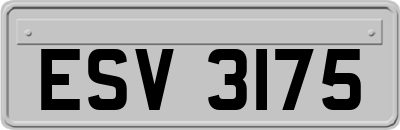 ESV3175