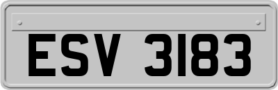 ESV3183