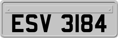ESV3184