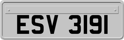 ESV3191
