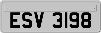 ESV3198