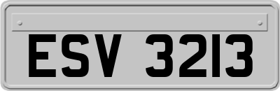 ESV3213