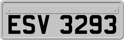 ESV3293