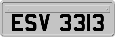 ESV3313