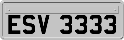 ESV3333