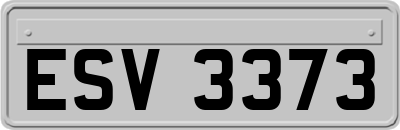 ESV3373