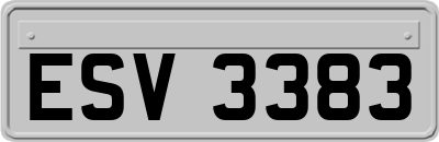 ESV3383