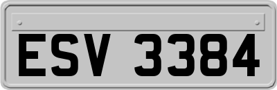 ESV3384