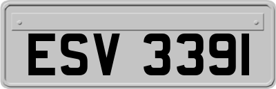 ESV3391