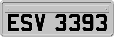 ESV3393