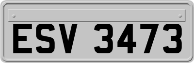 ESV3473