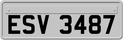 ESV3487
