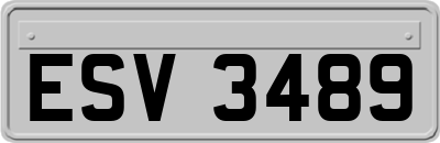 ESV3489