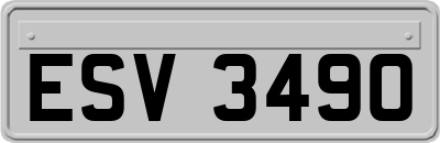 ESV3490