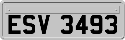 ESV3493