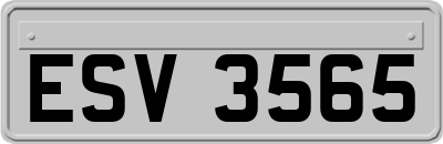 ESV3565