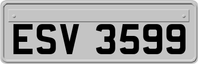 ESV3599