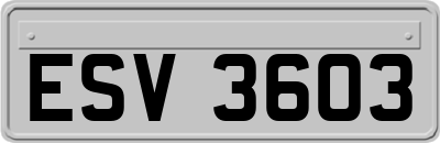 ESV3603