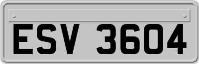 ESV3604