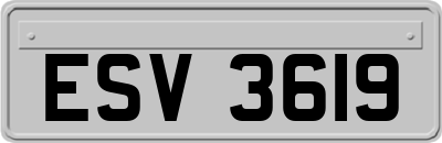 ESV3619