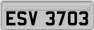 ESV3703