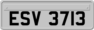 ESV3713