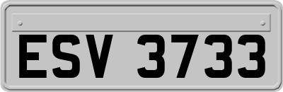 ESV3733