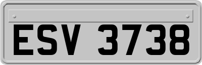 ESV3738