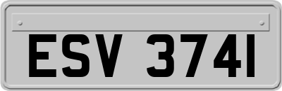 ESV3741