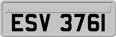 ESV3761