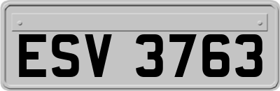 ESV3763
