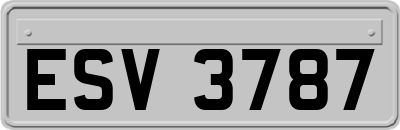 ESV3787