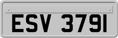 ESV3791