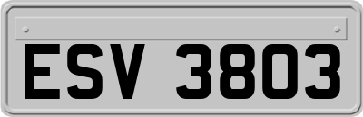 ESV3803