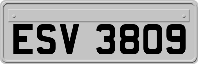 ESV3809