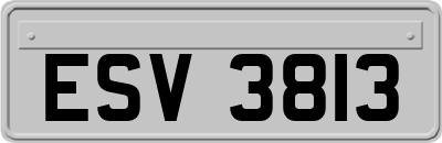 ESV3813