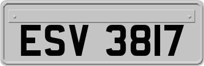 ESV3817