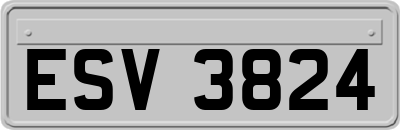 ESV3824
